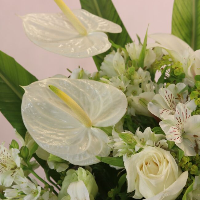sympathy flower no f71 2