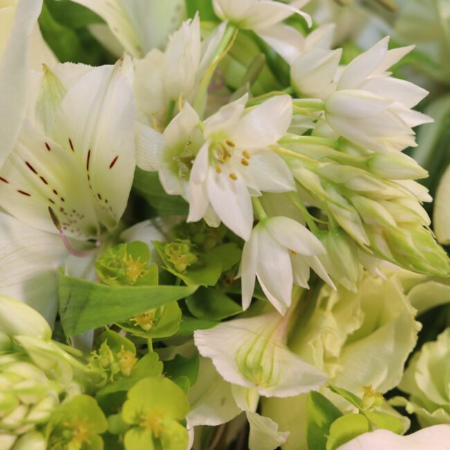 sympathy flower no f71 3