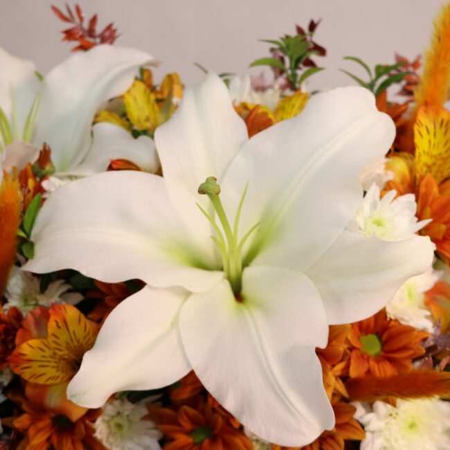 table flower no E18 1