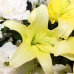 تاج گل T93 - Image 3