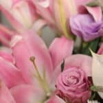 باکس گل B423 - Image 3