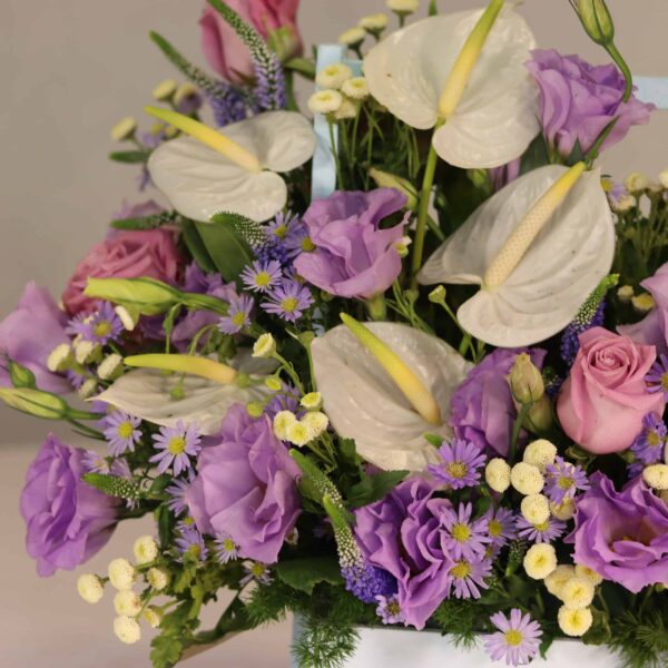 باکس گل B426 - Image 2