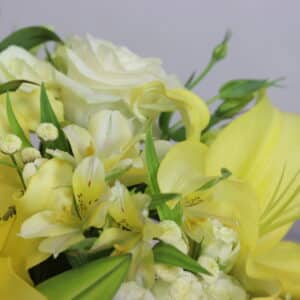 باکس گل B428 - Image 4