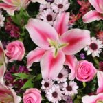 تاج گل T101 - Image 2