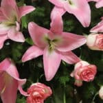 flower-stand-no-99-2