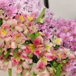 تاج گل T100 - Image 3