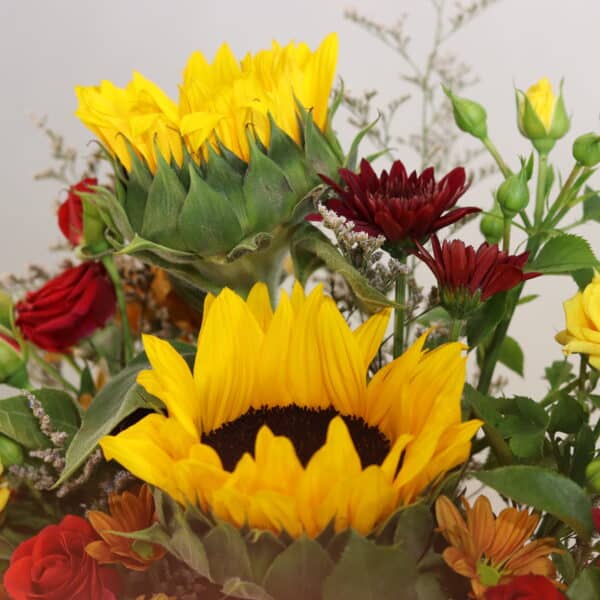 باکس گل B430 - Image 2