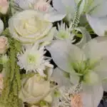 باکس گل B431 - Image 2