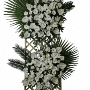 تاج گل T110