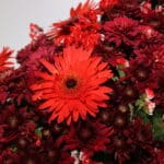 تاج گل T131 - Image 2