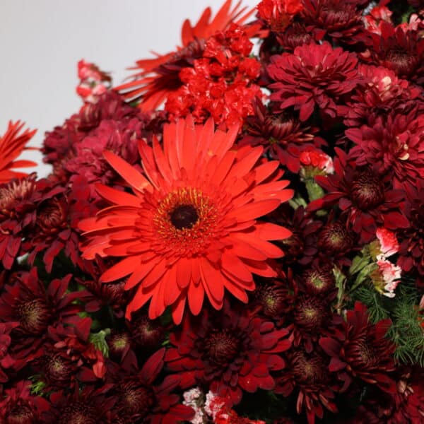 تاج گل T131 - Image 2