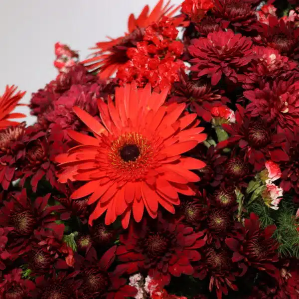 تاج گل T131 - Image 2