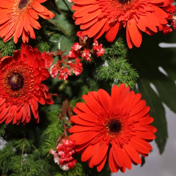 تاج گل T131 - Image 3
