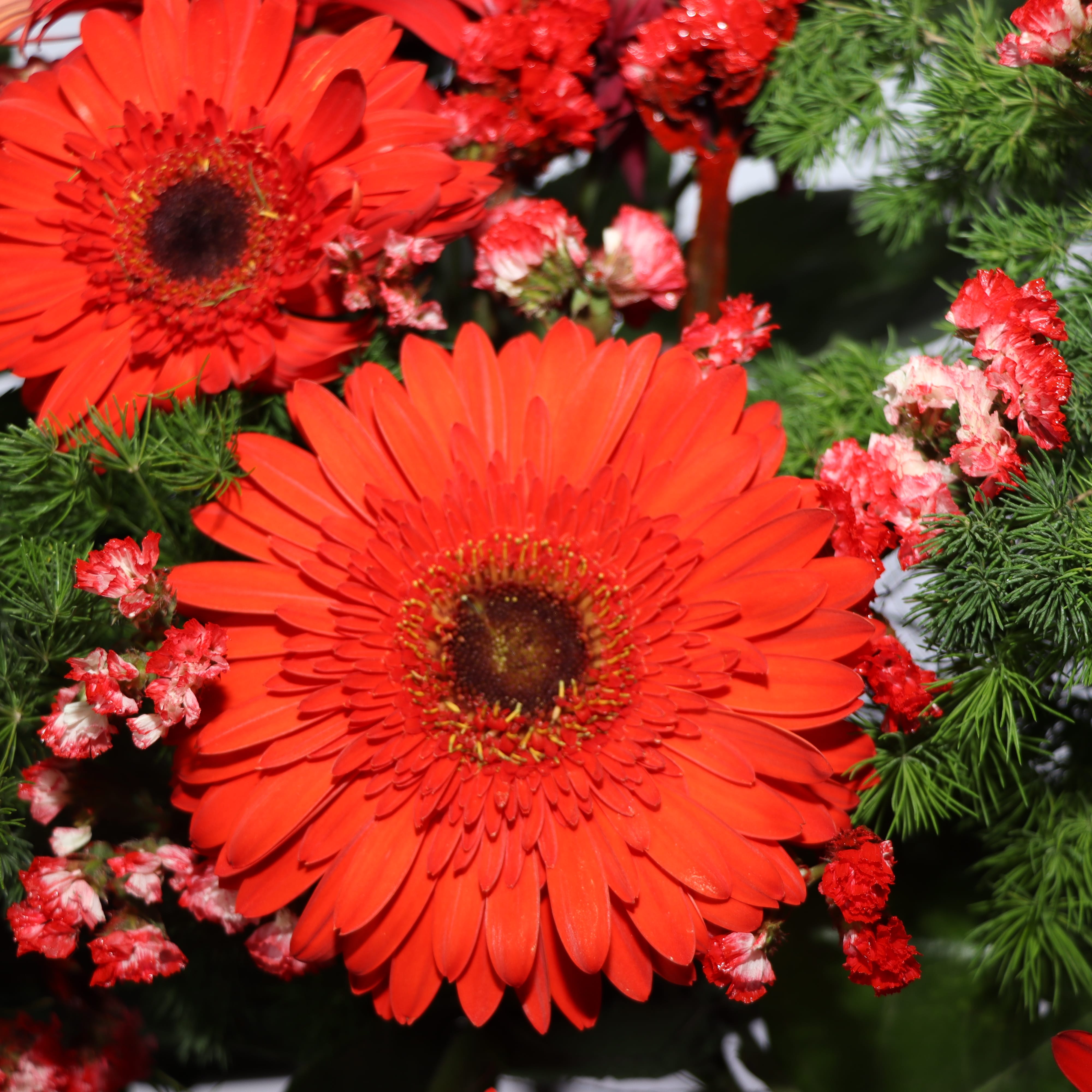 T131-3 تاج گل T131 - Image 4