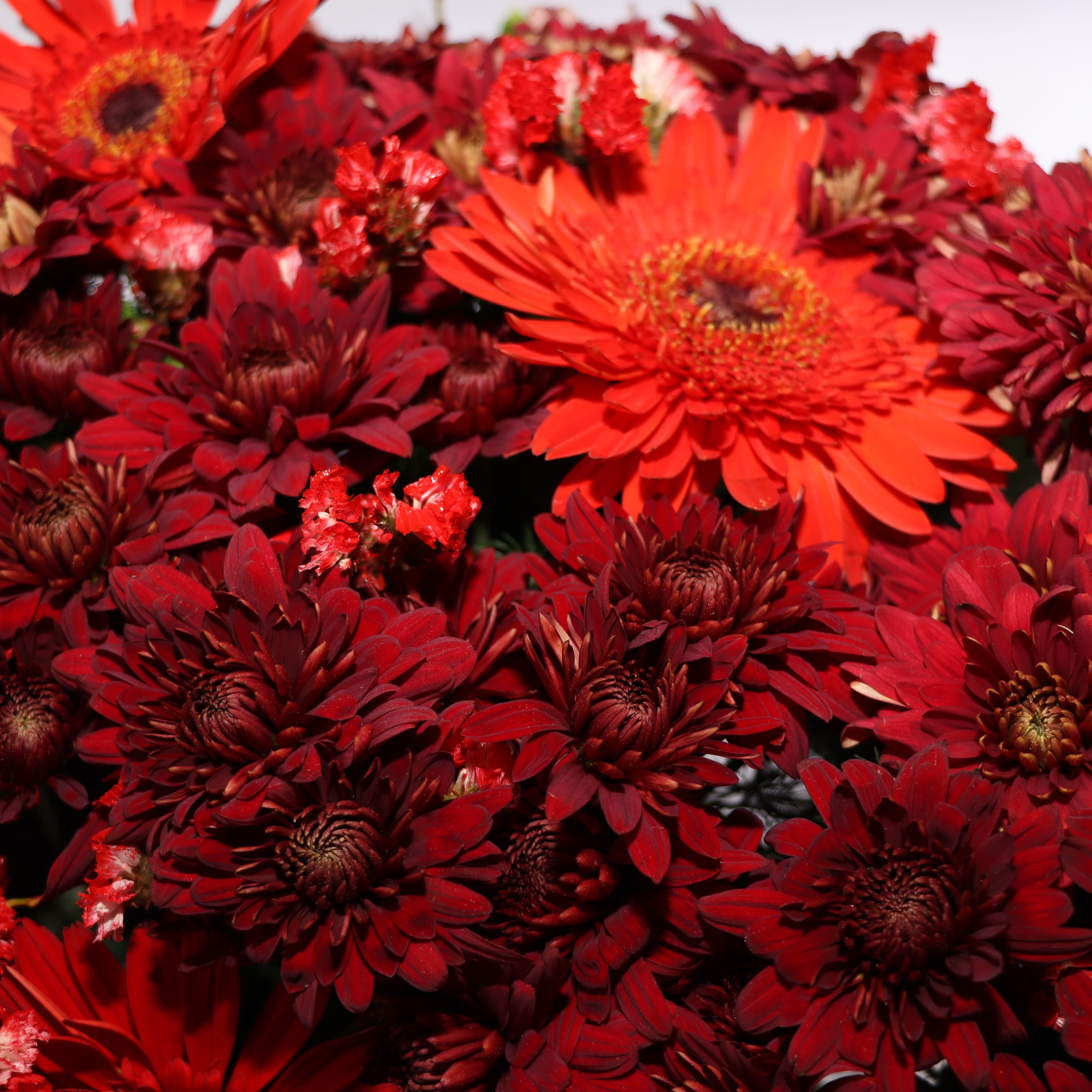 T131-4 تاج گل T131 - Image 5
