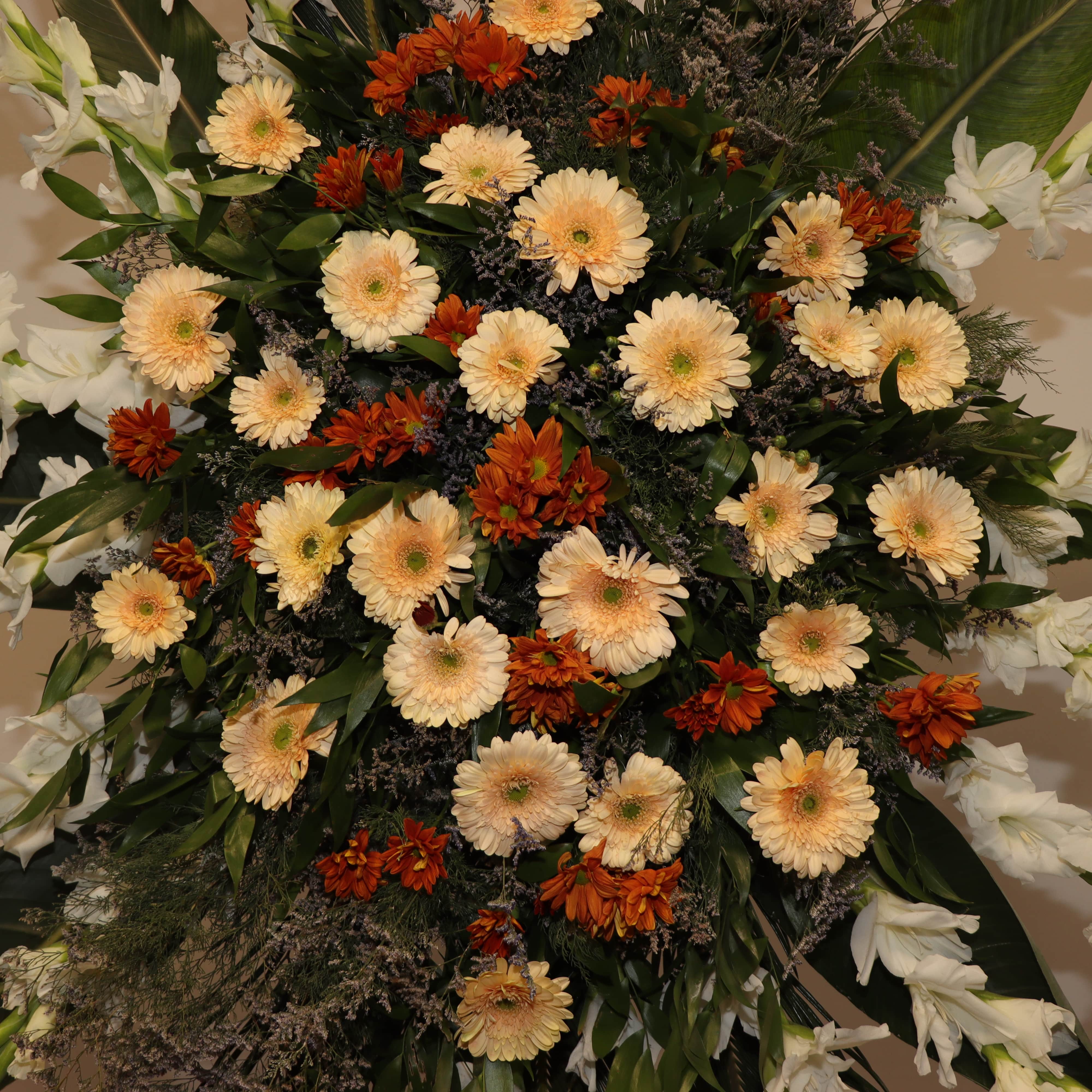 T132-1 تاج T132 - Image 2