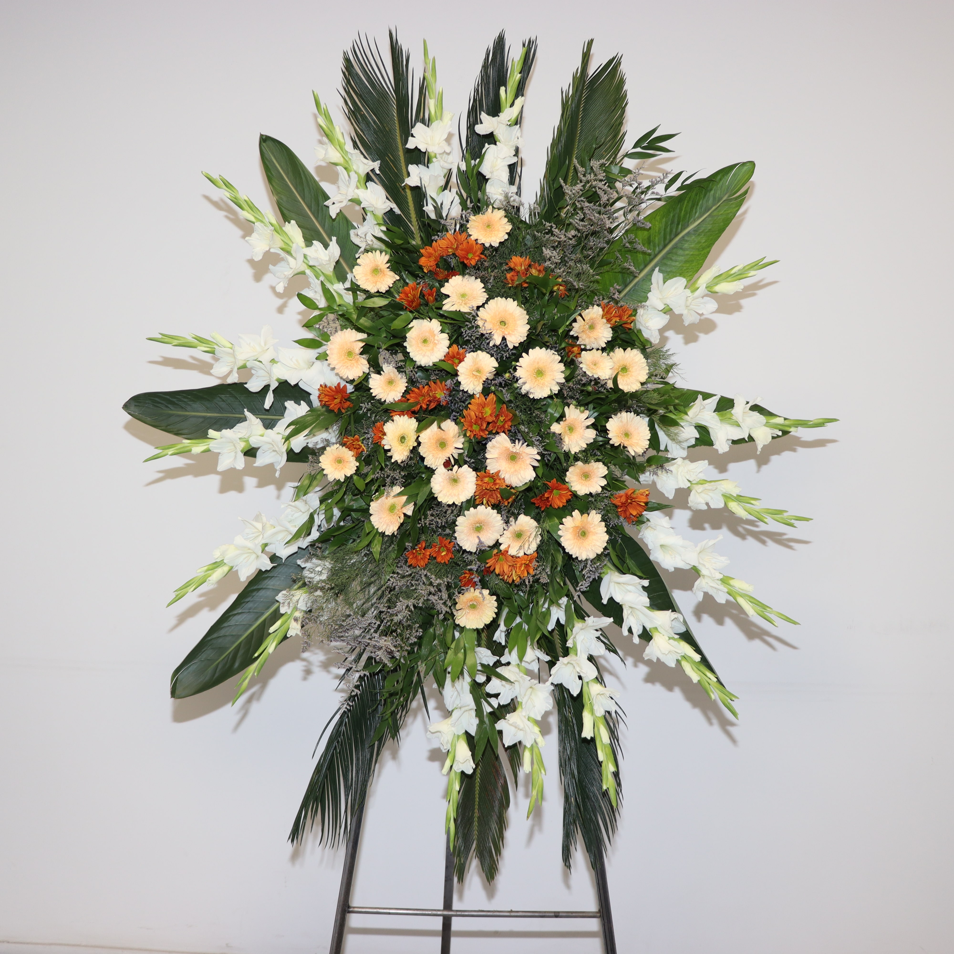 T132 تاج T132 - Image 1