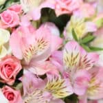 سبد گل K153 - Image 3