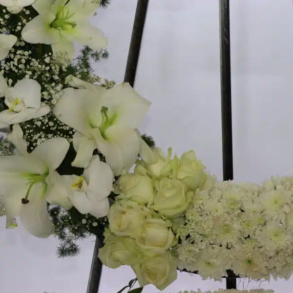 تاج گل T141 - Image 3