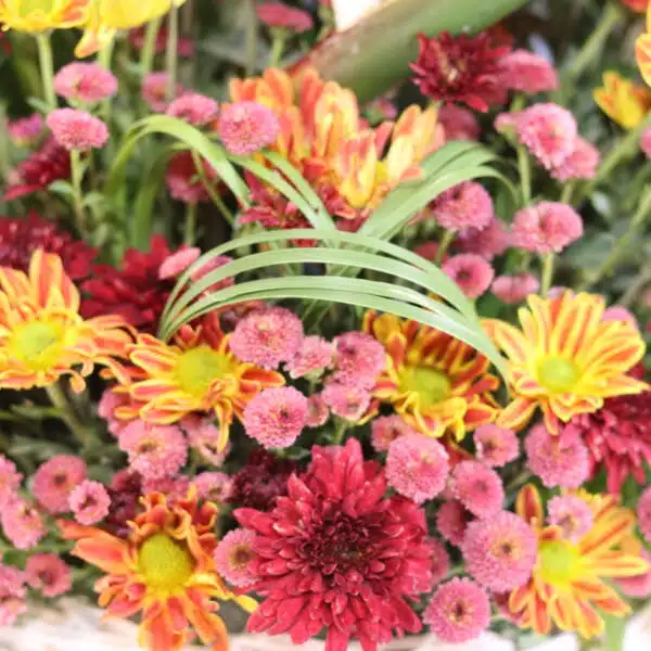 سبد گل k155 - Image 3
