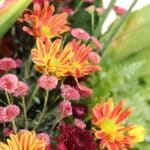 سبد گل k155 - Image 4