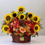 گل یلدای Y22