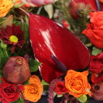 گل یلدای Y23 - Image 3