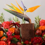 گل یلدای Y23 - Image 4