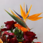 گل یلدای Y23 - Image 2