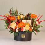 گل یلدای Y24