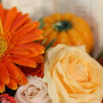 گل یلدای Y24 - Image 2
