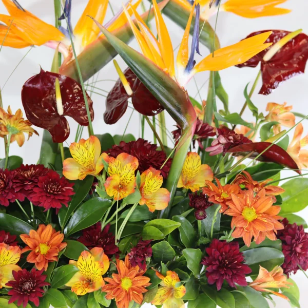 باکس گل ‌B439 - Image 3