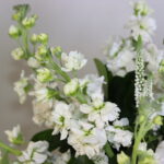 گل ترحیم F76 - Image 3