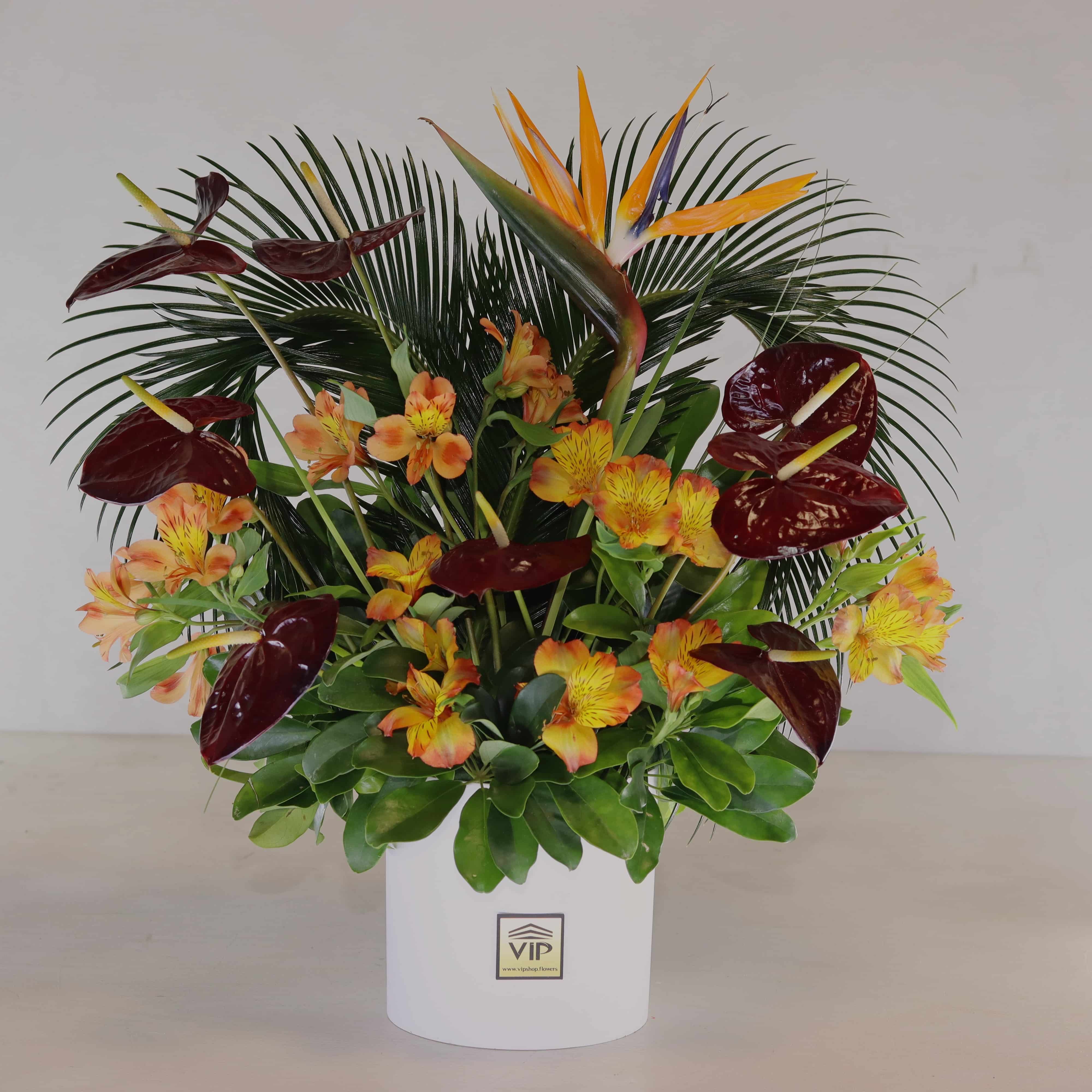 Iflower-box-no-440 باکس گل B440 - Image 1