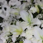 تاج گل T145 - Image 2