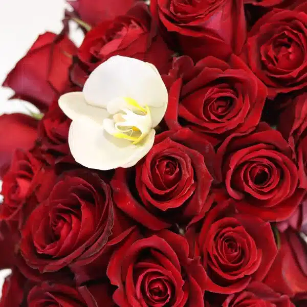 باکس گل و شکلات L53 - Image 5