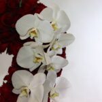 گل و شکلاتL57 - Image 2