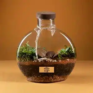 terrarium